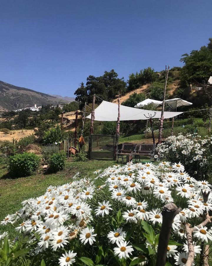 "Casa Ibero" Bubion, Alojamiento Turistico Rural Exteriör bild