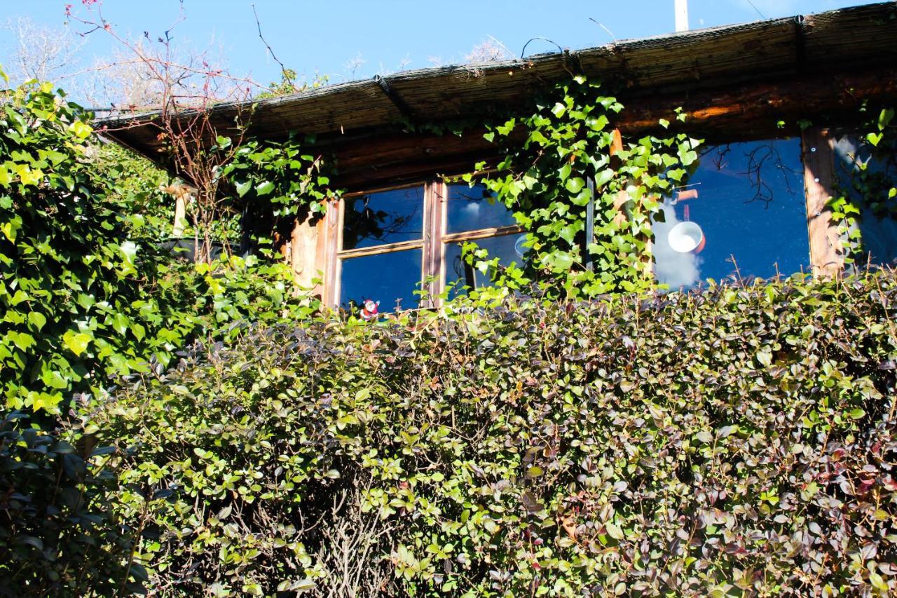 "Casa Ibero" Bubion, Alojamiento Turistico Rural Exteriör bild