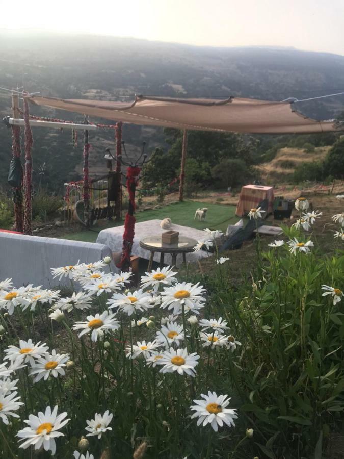 "Casa Ibero" Bubion, Alojamiento Turistico Rural Exteriör bild