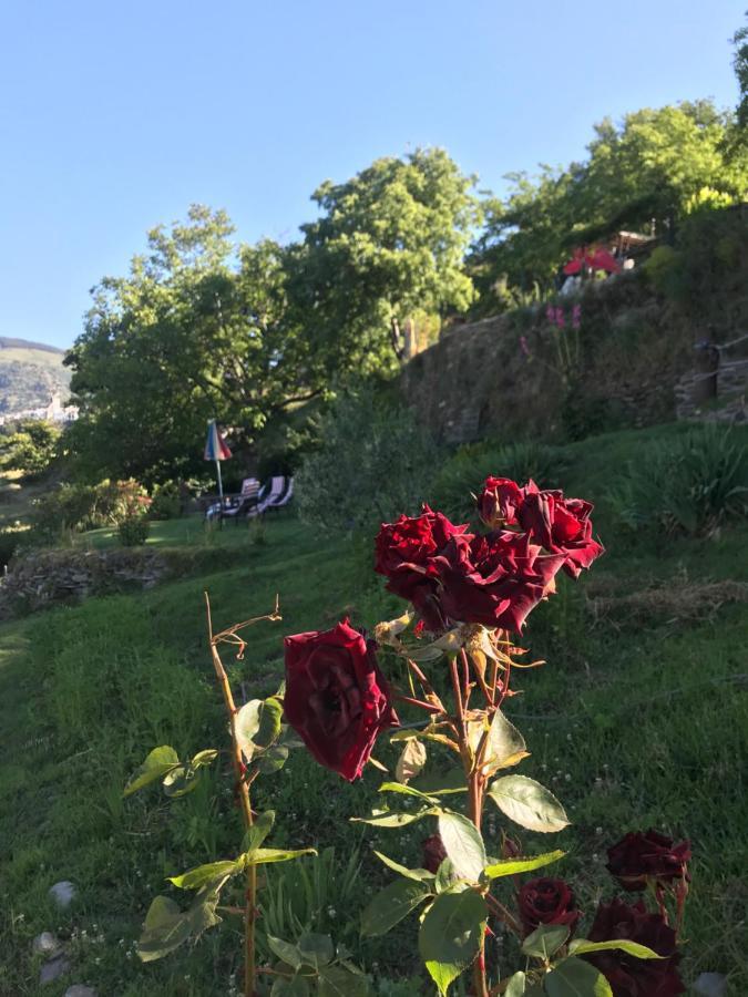 "Casa Ibero" Bubion, Alojamiento Turistico Rural Exteriör bild
